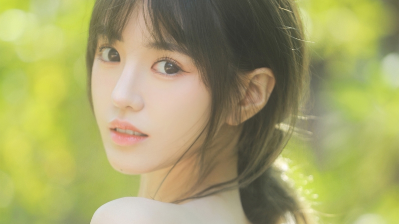 原神魈怎么配队 魈配队阵容推荐